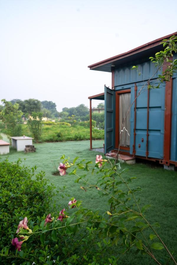 Hotel Tree Of Life Ecotainers Agra Agra  Zewnętrze zdjęcie
