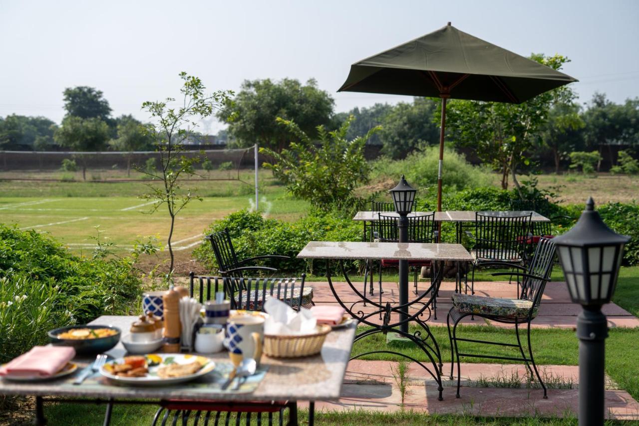 Hotel Tree Of Life Ecotainers Agra Agra  Zewnętrze zdjęcie