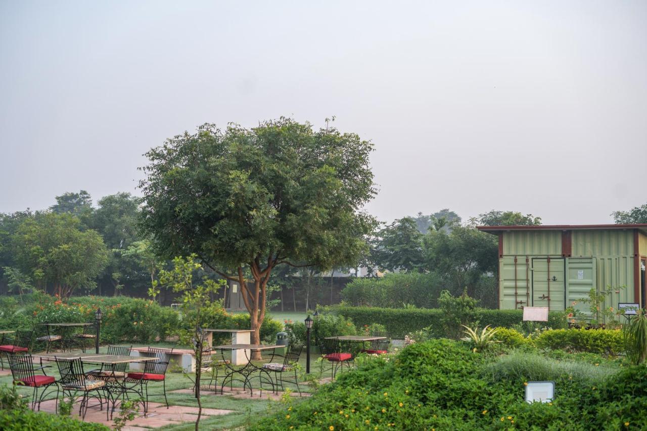 Hotel Tree Of Life Ecotainers Agra Agra  Zewnętrze zdjęcie