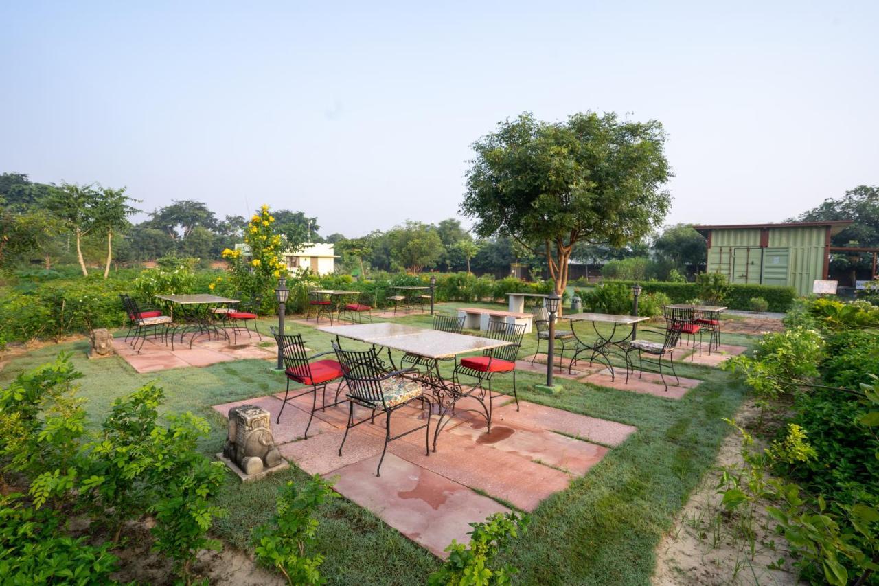 Hotel Tree Of Life Ecotainers Agra Agra  Zewnętrze zdjęcie