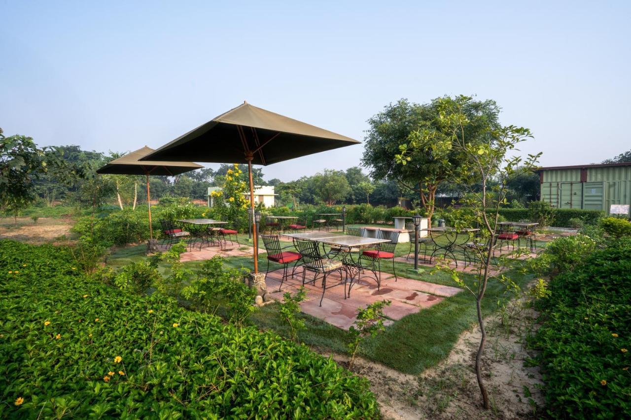 Hotel Tree Of Life Ecotainers Agra Agra  Zewnętrze zdjęcie
