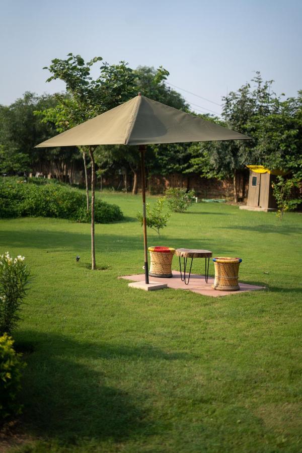 Hotel Tree Of Life Ecotainers Agra Agra  Zewnętrze zdjęcie